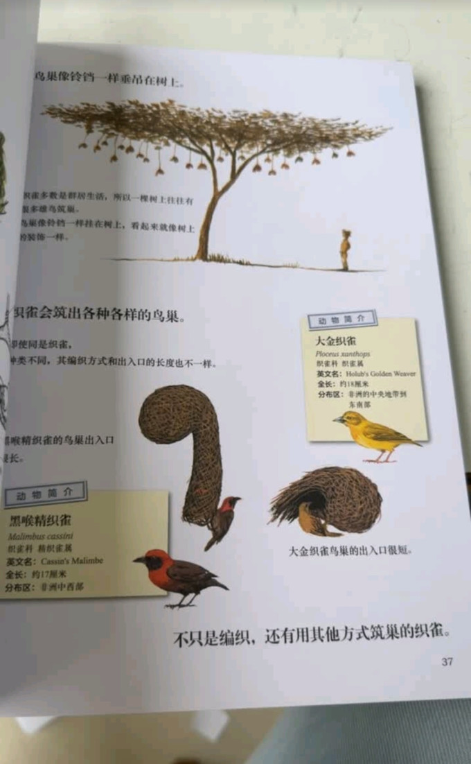 科学技术