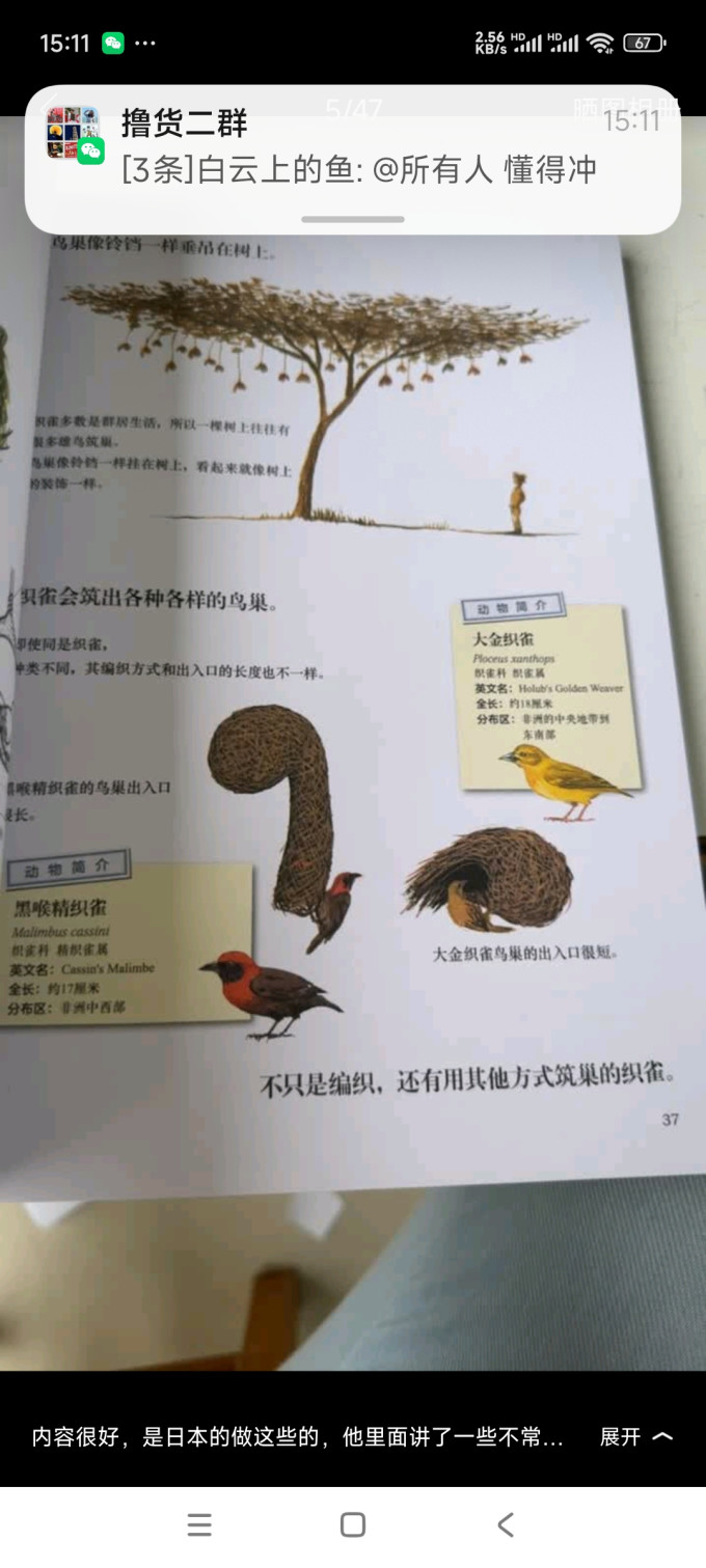 科学技术