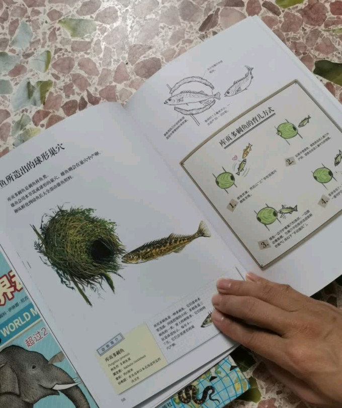 科学技术