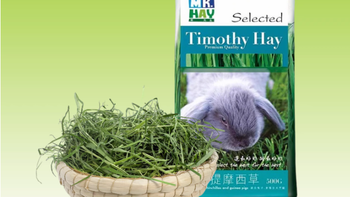 🌿头茬新草封神！我家三小只抢着啃的草先生提摩西草测评🐰