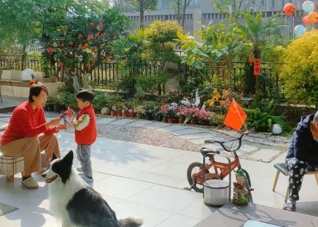 越来越多人搬离“一楼带院”的房子？老业主说出实情，原因很简单