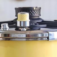 赵露思同款高压锅，小身材大容量