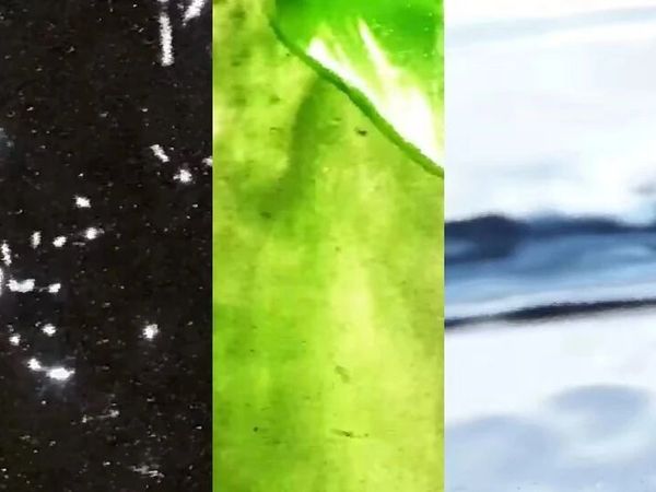 BV会是我第一个为品牌消费的奢侈品