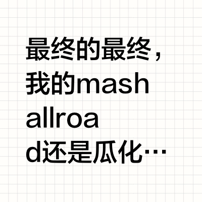 Mash Allroad 城市瓜车