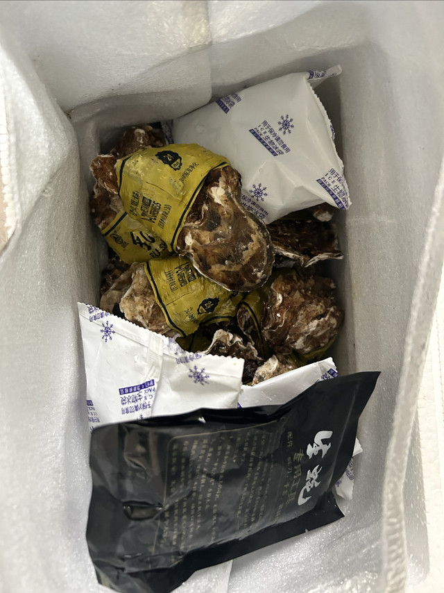 源头直发，鲜京采生蚝来啦！