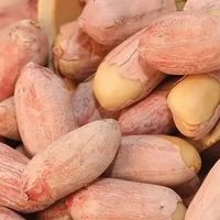 24年山东特产五香蒜香花生米