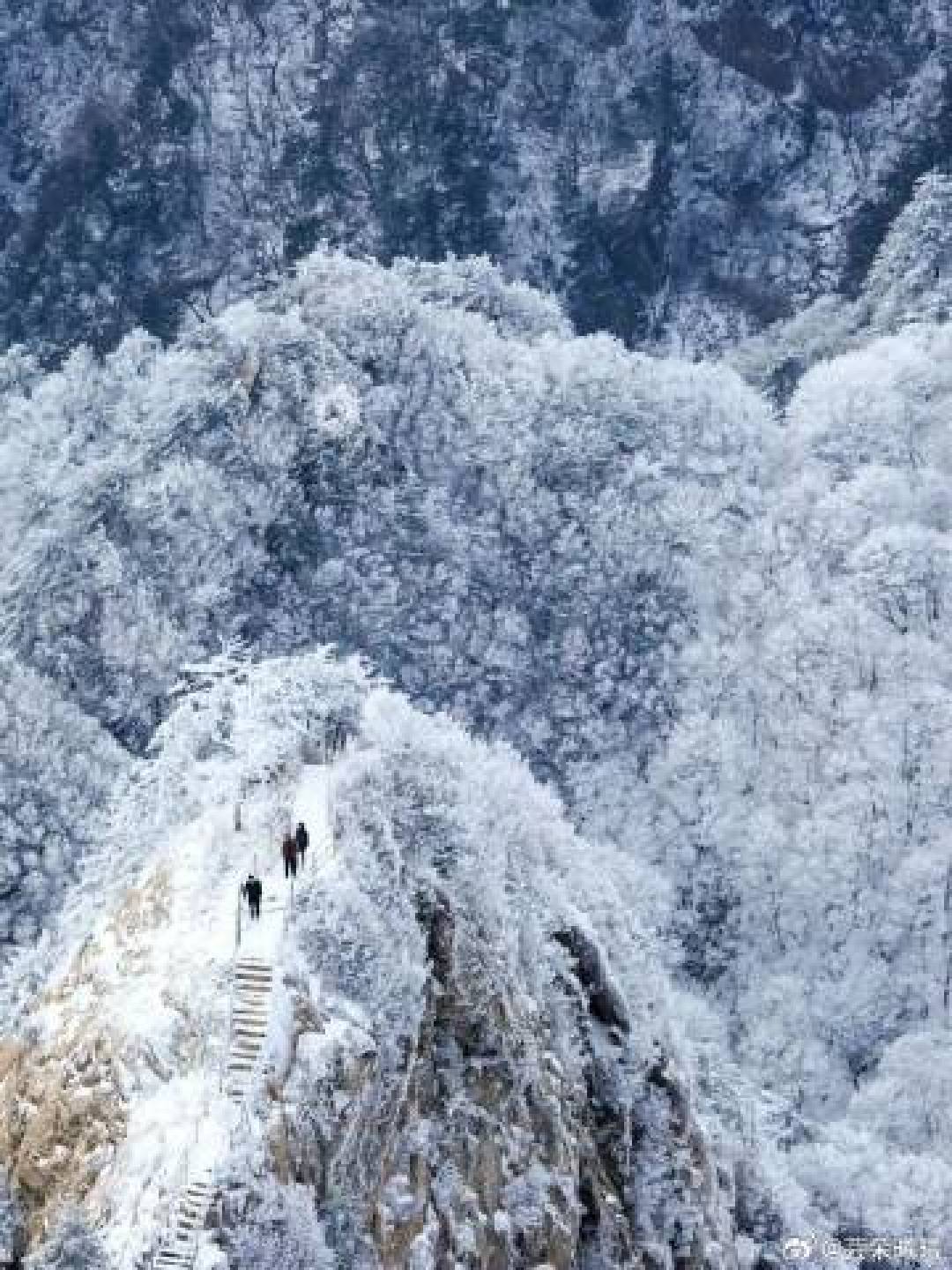 洛阳老君山雪后幻化人间天宫:鎏金殿宇藏云海 冰晶古松绘琉璃仙境