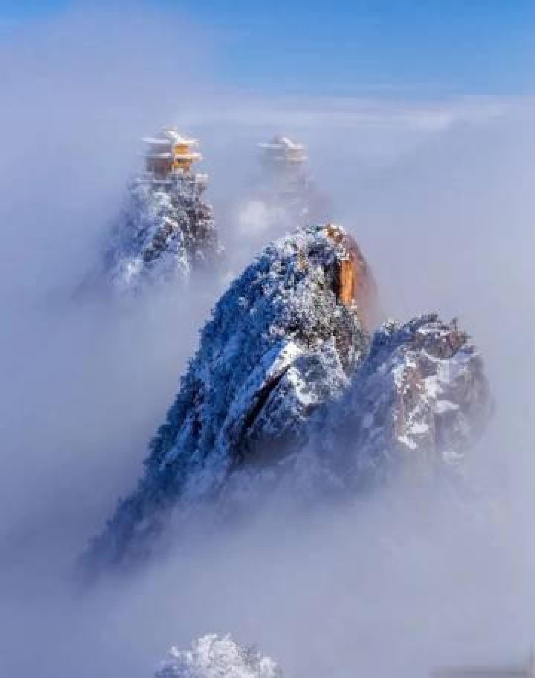 洛阳老君山雪后幻化人间天宫:鎏金殿宇藏云海 冰晶古松绘琉璃仙境