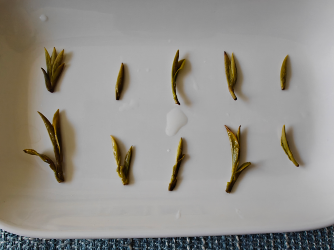 贡牌茶类