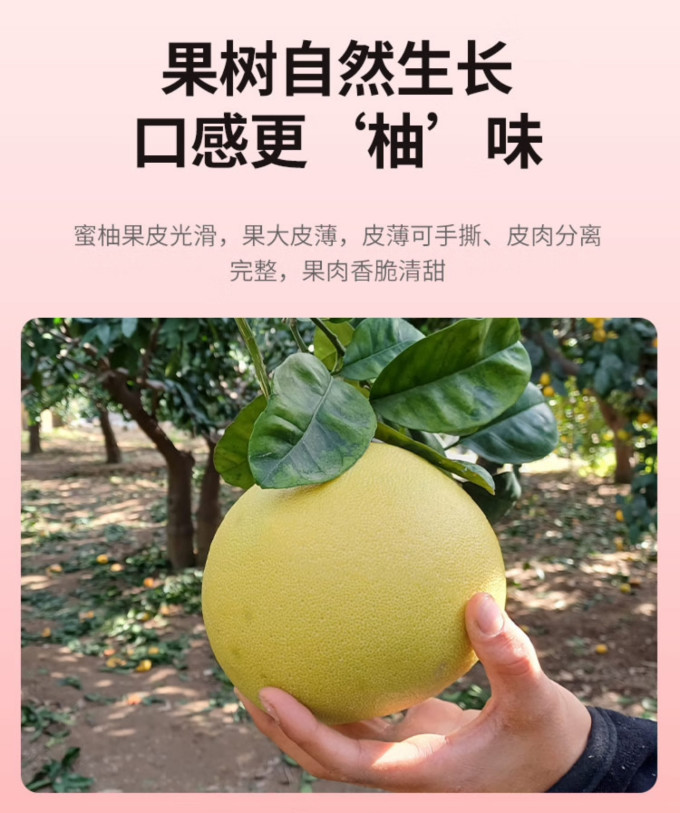 京鲜生柚子
