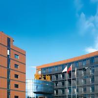 煌上煌三季报背后：数字赋能与品牌年轻化驱动质量增长