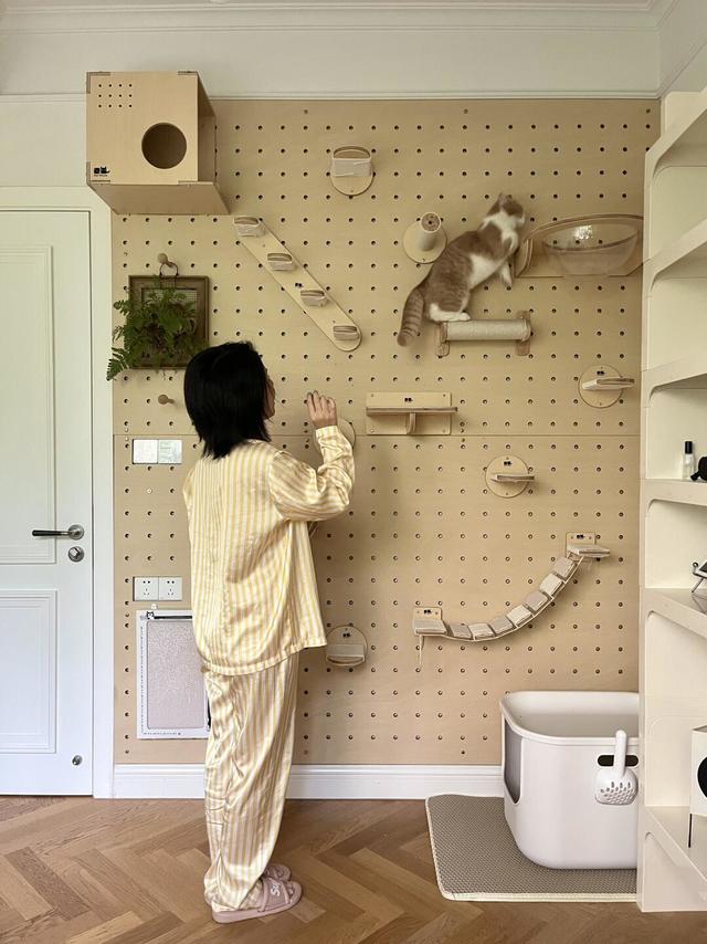 30w网友围观的洞洞板猫爬架，铲屎官速来抄📝