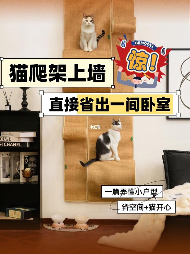 难道…猫爬架=智商税？