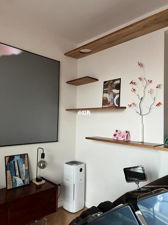 40平小家｜如何同时拥有置物架和猫爬架？