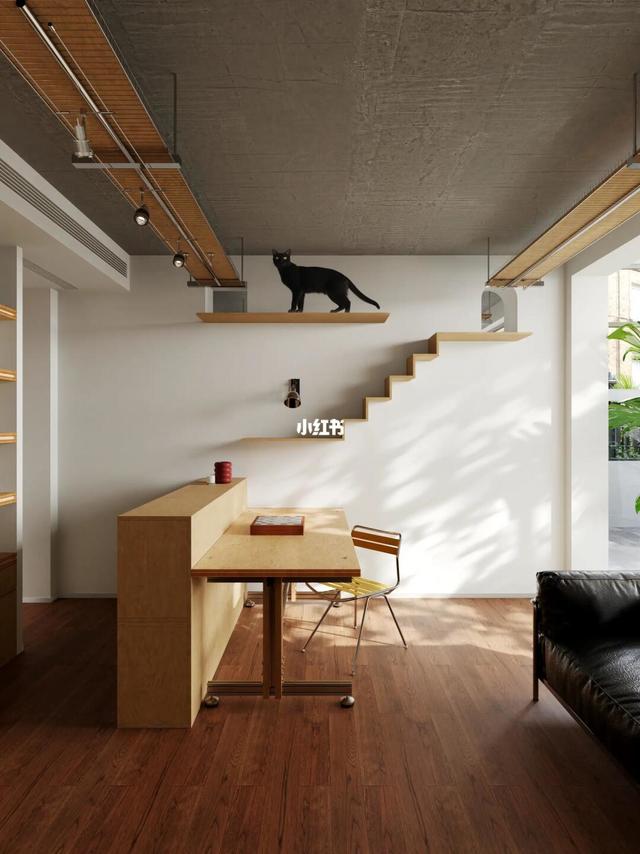 🐱【人宠颠倒？这个家猫才是甲方！】🐾