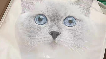 网易严选10kg全价猫粮，让毛孩子吃得香又省心