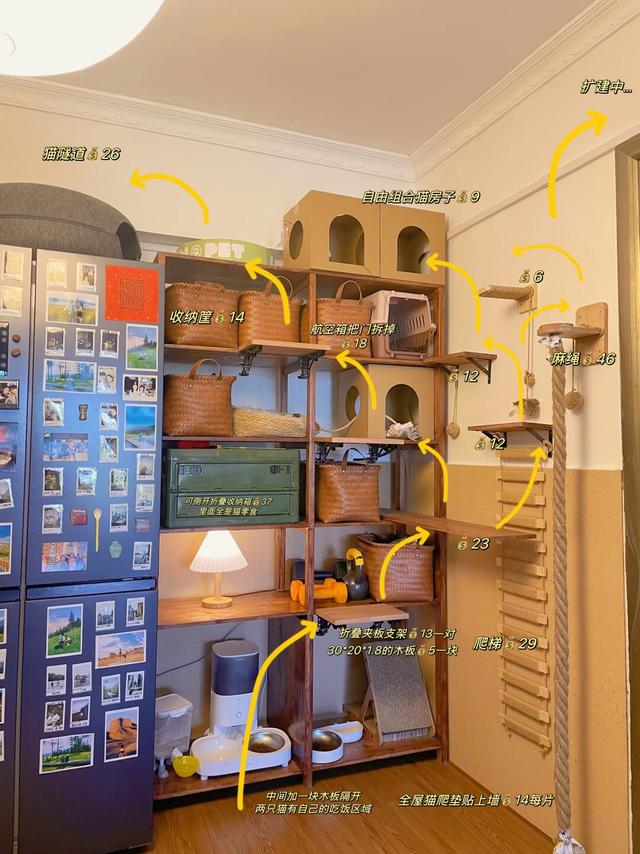 给猫买东西只有一次和无数次！