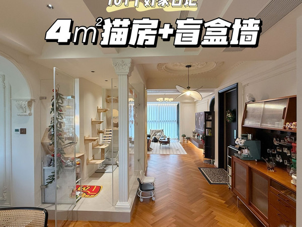 超牛！4㎡玄关爆改玻璃猫房+发光盲盒墙！