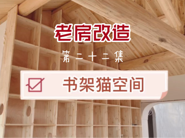 【老房改造 第二十二集】 养宠数只，养猫也已经十多年，家里猫咪狗狗与我的生活空间需要设计整合在一起。根据猫咪的生活习惯，书架墙非常适合整合为猫咪的活动区域。