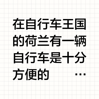 荷兰买自行车历程