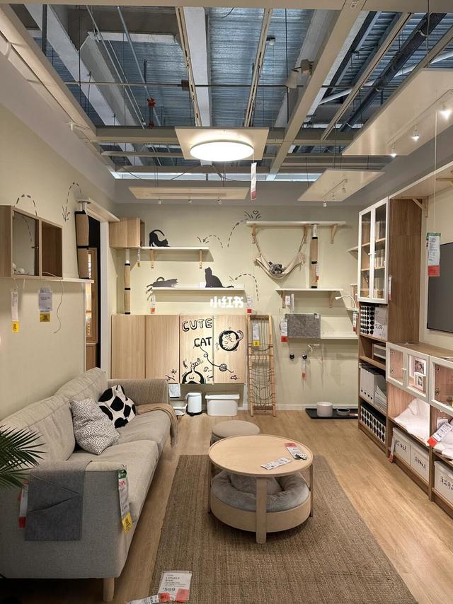 跟宜家学适猫化装修，把家布置成猫猫乐园🐈