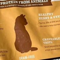 爱肯拿牧场盛宴猫粮，我家猫咪的营养刚需