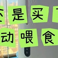 还得是自动喂食器啊！