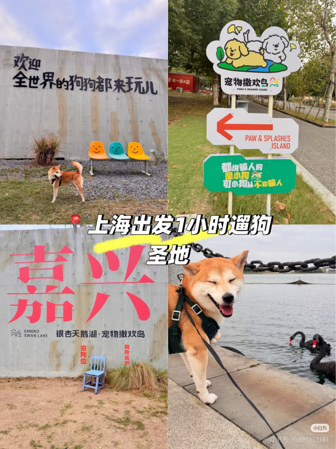 国内度假
