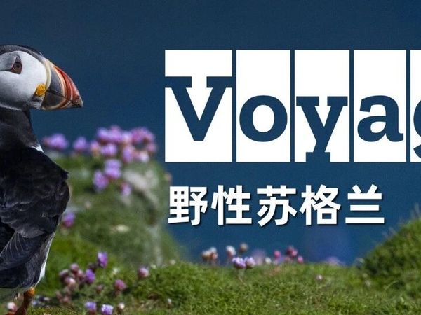 12天野性苏格兰航线，一场穿越千年文明与原始自然的探险之旅