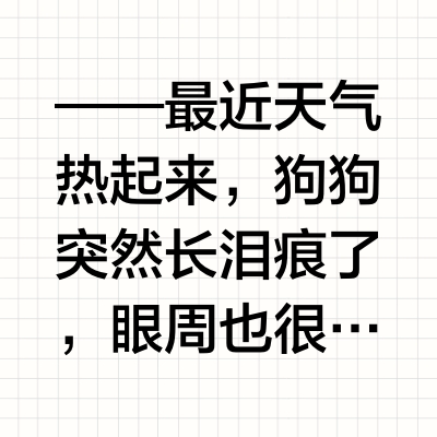 泪痕克星！伯纳天纯生鲜狗粮真的绝了！