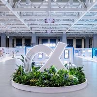 荣耀发布8大AI场景方案：以“全场景覆盖”推动终端智能普惠落地