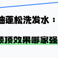 控油蓬松洗发水：高颅顶效果哪家强？