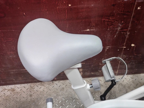 双11运动战利品：磁控阻力健身车