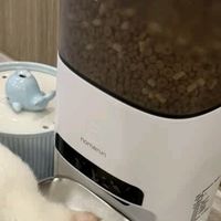霍曼AI智能喂食器视频版：看得见的安心喂养管家