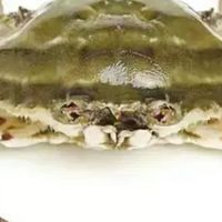 双十一必囤美食：鲜到跺脚的梭子蟹，囤满冰箱才安心