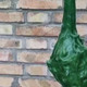 女子几个月没回家，邻居家的植物长过来结了瓜，像某个妖怪的武器