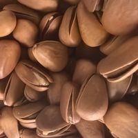 憨豆熊东北松子418g罐装