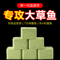 专攻大草鱼！这款韭菜味方块窝料，黑坑野钓水库通杀