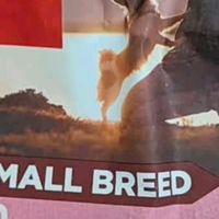 Orijen渴望狗粮 六种鱼 幼犬成犬全价鱼肉美毛进口犬粮11.