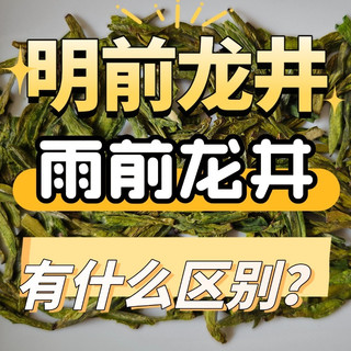 明前龙井和雨前龙井的区别，哪个更好喝？