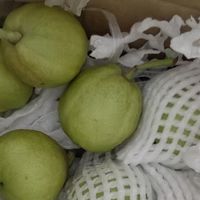 新疆库尔勒香梨：口感与香气兼备