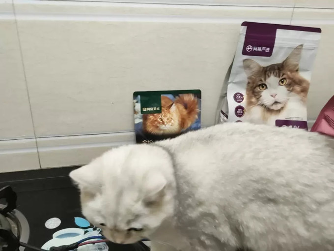 网易严选猫粮