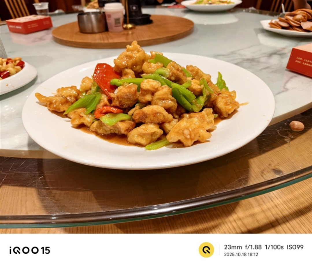 从性能机到水桶旗舰! iQOO 15评测:双芯算力+全场景优化 不止游戏强机
