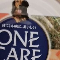 双十一囤货封神！爱丽思狗罐头，挑食汪和老母亲的双赢好物