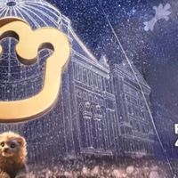 双11宝妈必囤！Babycare皇室Pro尿不湿