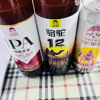 骆驼精酿三剑客，风味维度里的国产创新答卷！