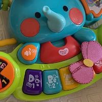 老母亲泪推!这只大象玩了半年都没腻!