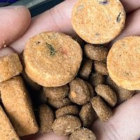 蓝氏乳鸽狗粮试吃体验！