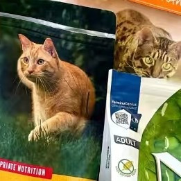 关税风波后，进口猫粮还能喂啥