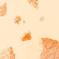 华美粗粮饼干：健康与实惠兼得